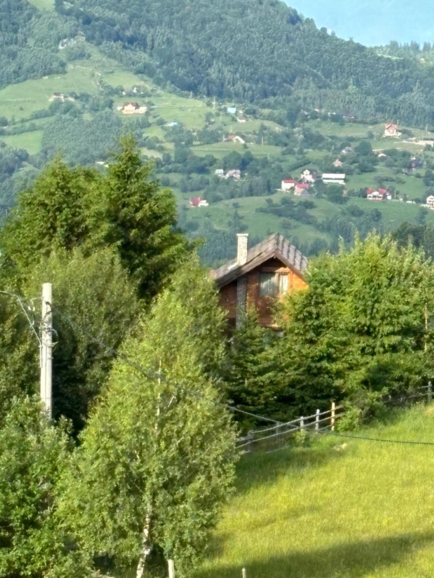 Chalet Ro Пештера Екстер'єр фото