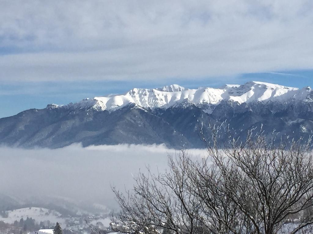 Chalet Ro Пештера Екстер'єр фото