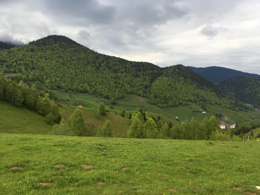 Chalet Ro Пештера Екстер'єр фото